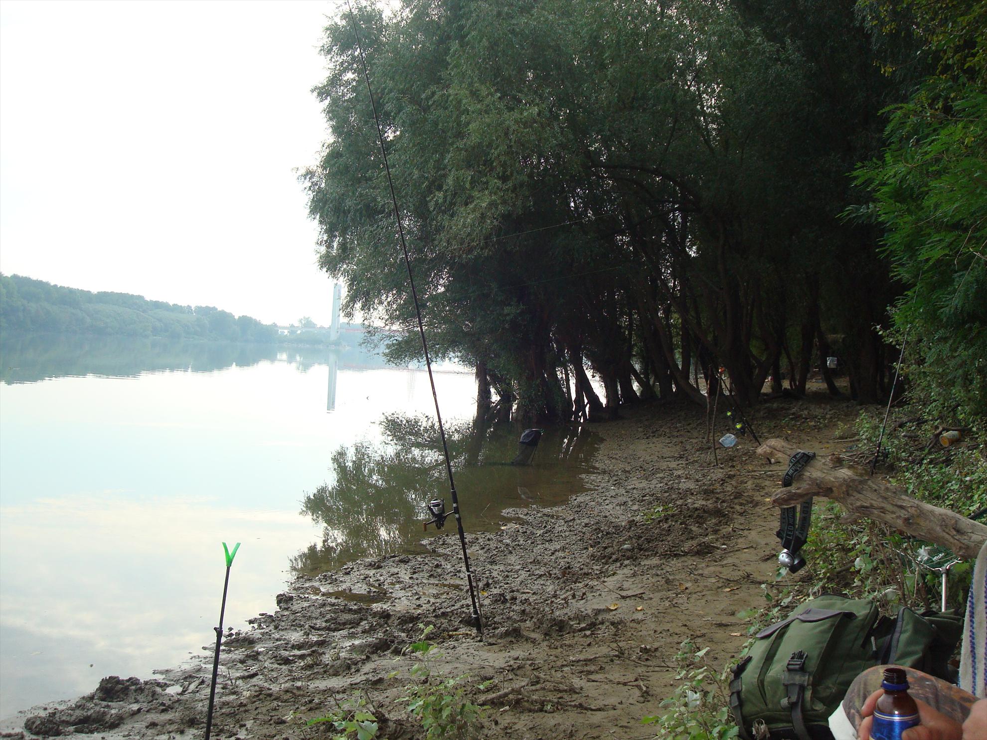 pescuit la Dunare - dsc06693.JPG